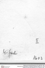 Historisches Foto (Rückseite) von Bullariscus patruliusi (Robins et al., 2013) (NHMW-AFW-GEO-BACHMAYER-FOTO-1990-0041-1603)